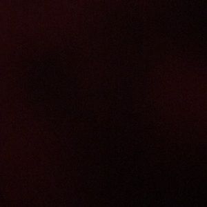 Meet your Posher, Fabiola